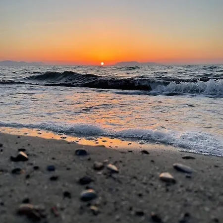 Sunset *